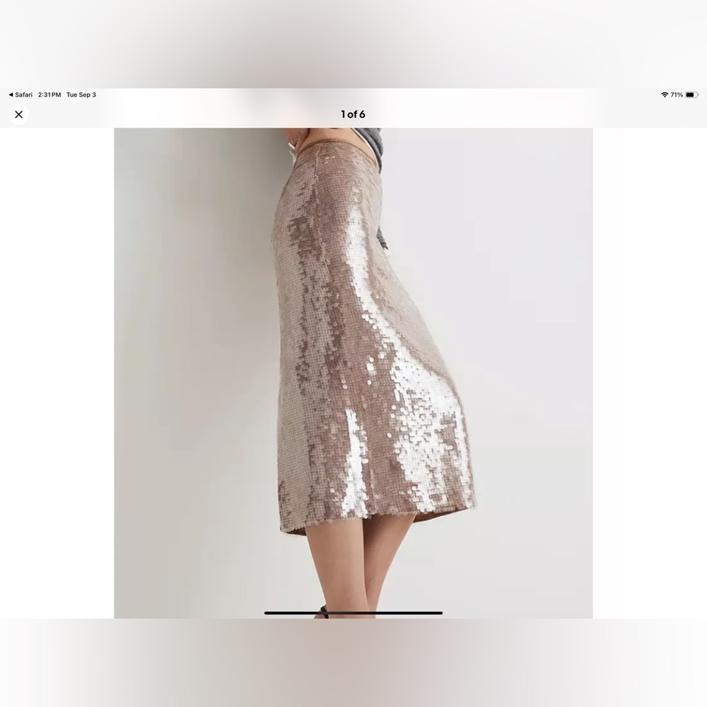 Madewell NWT sequin midi skirt